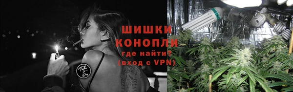 ПСИЛОЦИБИНОВЫЕ ГРИБЫ Иннополис