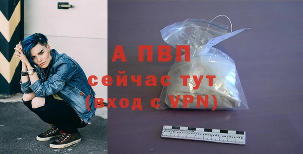 трава Инта