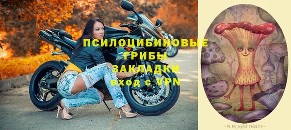 трава Инта