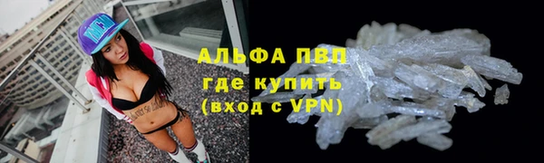 ПСИЛОЦИБИНОВЫЕ ГРИБЫ Иннополис