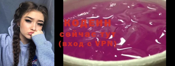 трава Инта