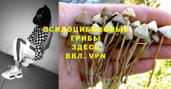 мескалин Инсар