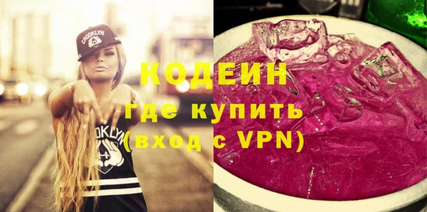 трава Инта