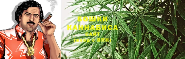 трава Инта