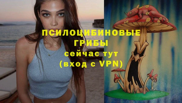 ПСИЛОЦИБИНОВЫЕ ГРИБЫ Иннополис