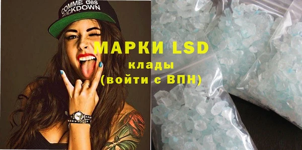 ПСИЛОЦИБИНОВЫЕ ГРИБЫ Иннополис