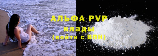 трава Инта