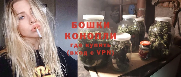 трава Инта