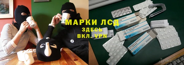 трава Инта